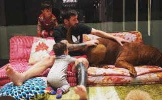 Instagram: la mascota de Messi que causa furor en la red