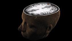 Parte del cerebro que reconoce rostros crece hasta la adultez