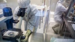 Mutaciones genéticas podrían determinar agresividad del cáncer