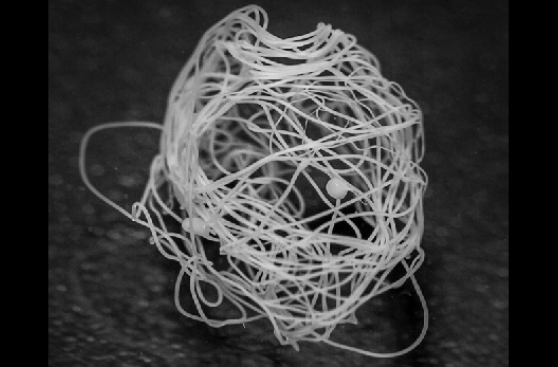 Crean tela de araña artificial más resistente que la natural