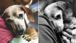 Ni sus 18 años la defendieron de ser abandonada