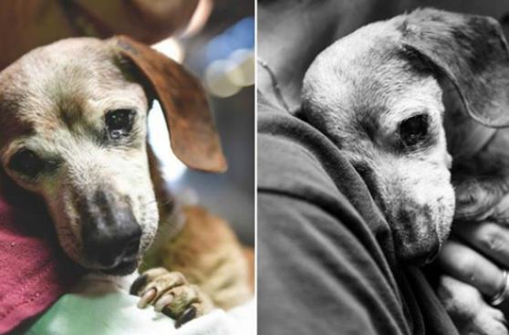 Ni sus 18 años la defendieron de ser abandonada