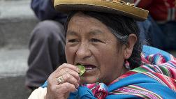 Bolivia festeja el Día de la masticación de hojas de coca