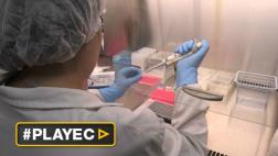 Brasil: Chikungunya, la “mayor amenaza” de salud tras el zika