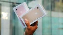 Twitter: la estafa del sorteo de iPhone que te llena de spam