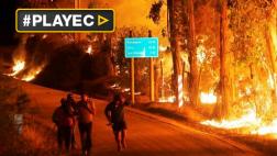 Incendios forestales consumen casi 90.000 hectáreas en Chile