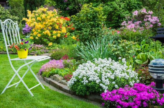 Cinco pasos para cuidar el jardín durante las lluvias