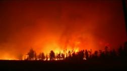 Así son los peores incendios forestales de la historia de Chile