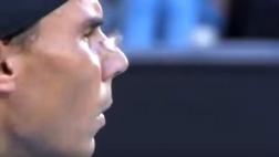 Polilla incomodó a Rafael Nadal en pleno partido contra Raonic