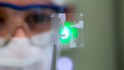 Logran avance para diagnosticar cáncer hereditario