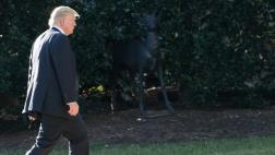 Crece campaña de servicio de parques contra Trump en Twitter