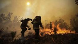 Chile: Número de muertos por incendios forestales asciende