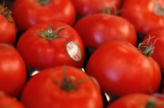 ¿Por qué los tomates ya no saben a nada?