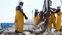 Sector pesca se expandió 40,52% en diciembre 2016, dice Produce