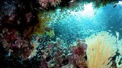 Mediterráneo acumula 62 mlls. de grandes fragmentos de basura