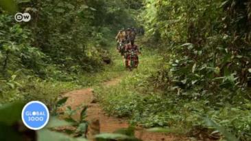 Camerún intercambia armas por motos a favor de la conservación