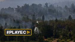 Chile: Incendio continúa y se investiga a posibles pirómanos