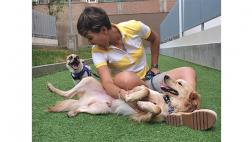 Asegura estar viva gracias a sus perros rescatados