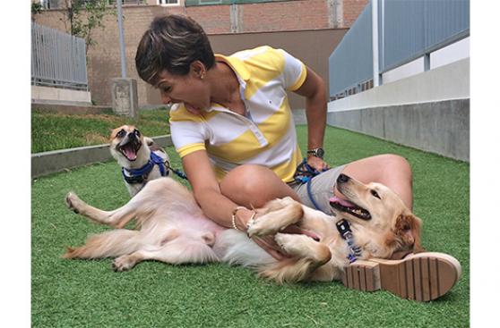 Asegura estar viva gracias a sus perros rescatados