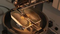 La computadora cuántica está más cerca de ser realidad