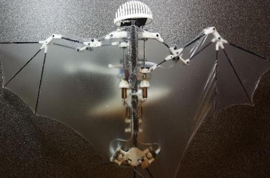 Este robot volador imita los movimientos de los murciélagos