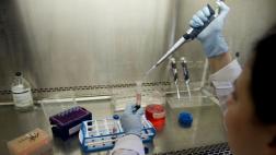 Una superbacteria pone en riesgo el control de la malaria