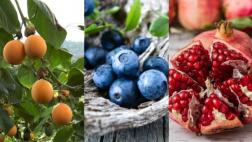 Más productos peruanos apuntan a ingresar al mercado brasileño