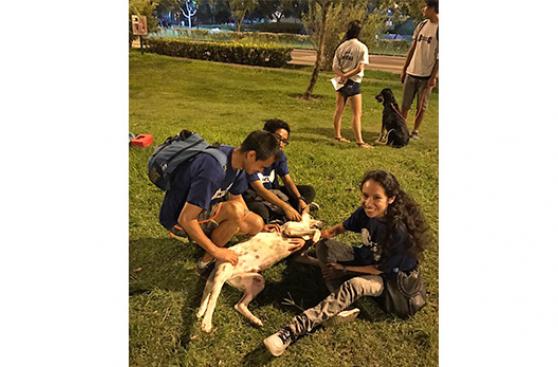 WUF y San Borja facilitan la adopción de perros