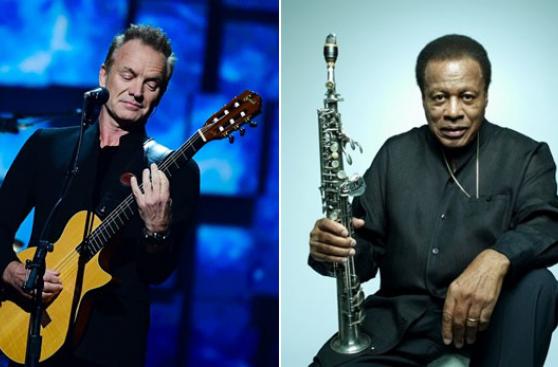 Sting y Wayne Shorter ganan el premio Polar Music 2017
