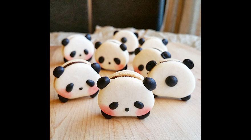 Los simpáticos macarrones de animales que invaden Instagram