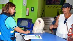 Ventanilla apuesta por registro y control natal de mascotas