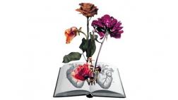 San Valentín: libros de amor y otros demonios
