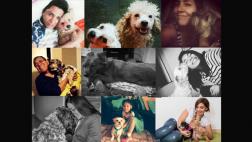 WUF homenajea a los perros celebrando Can Valentín