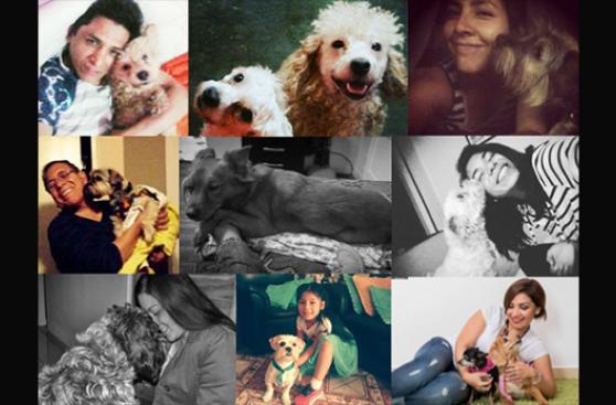 WUF homenajea a los perros celebrando Can Valentín
