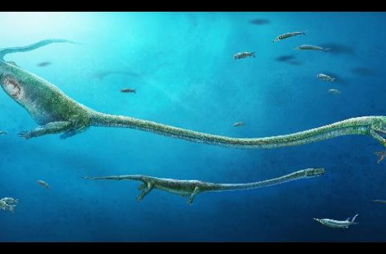 Descubren que un ancestro del cocodrilo no era ovíparo
