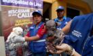 Municipalidad de Lima rescató perros de casona del Jr. Ayacucho