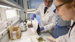 Sí a la marihuana medicinal, por Ian Vásquez