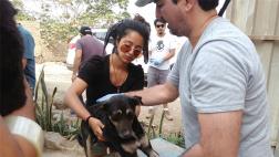 Animales víctimas de huaycos recibieron asistencia médica