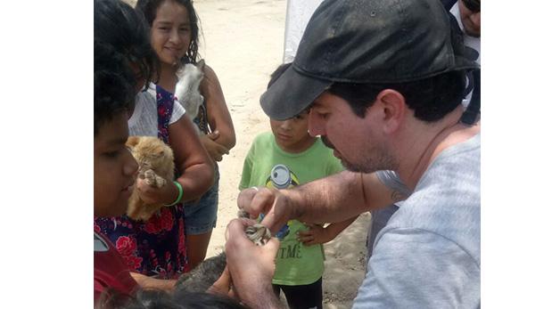 Animales víctimas de huaycos recibieron asistencia médica