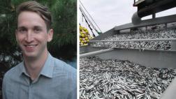 "Perú tiene la oportunidad de redirigir pesca a consumo humano"