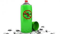¿Cuáles son los mejores repelentes contra los mosquitos?