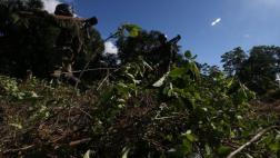 Colombia: caen narcos que enviaban coca a cárteles mexicanos