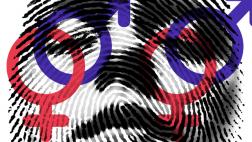 ¿Todo está mal con el género?, por Gloria Huarcaya