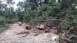 Madre de Dios: gobernador pide declarar La Pampa en emergencia