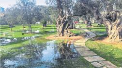 Lima y Callao gastaron S/7,3 mlls en agua potable para regar