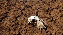 Revelan datos de la extinción masiva de hace 250 mlls. de años