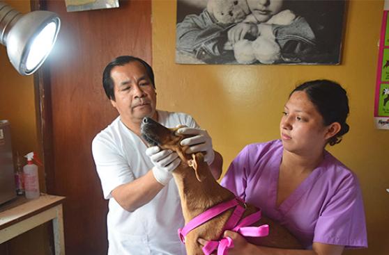 Tarpuy siembra esperanza a mascotas de bajos recursos