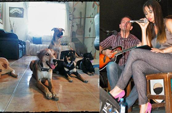 Venezolanos luchan por reunirse con sus 5 perros