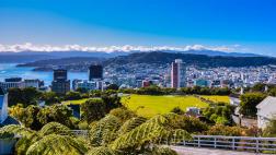 ¿Quieres ir a Nueva Zelanda? Empresa podría llevarte por 4 días