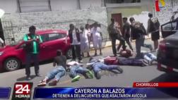 Chorrillos: atrapan a 5 hampones tras robar en avícola